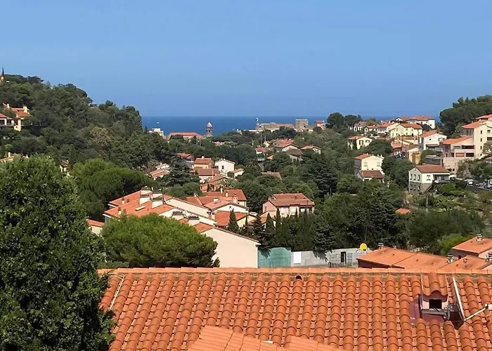Collioure, Le Village Prefere Des Francais Διαμέρισμα *